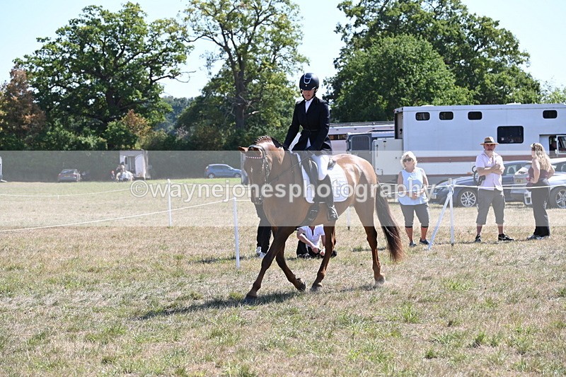 WJ6_8855 - Class 38 Ridden Riding Horse/Pony