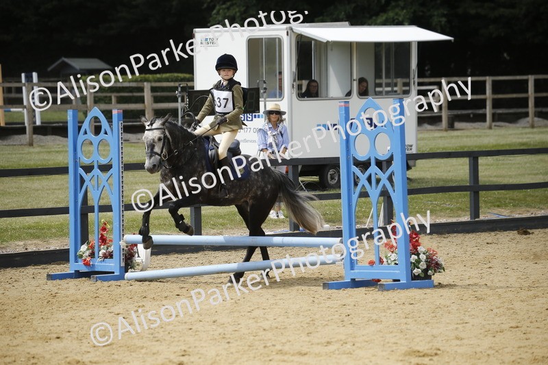 20250622-4019 - 50cm