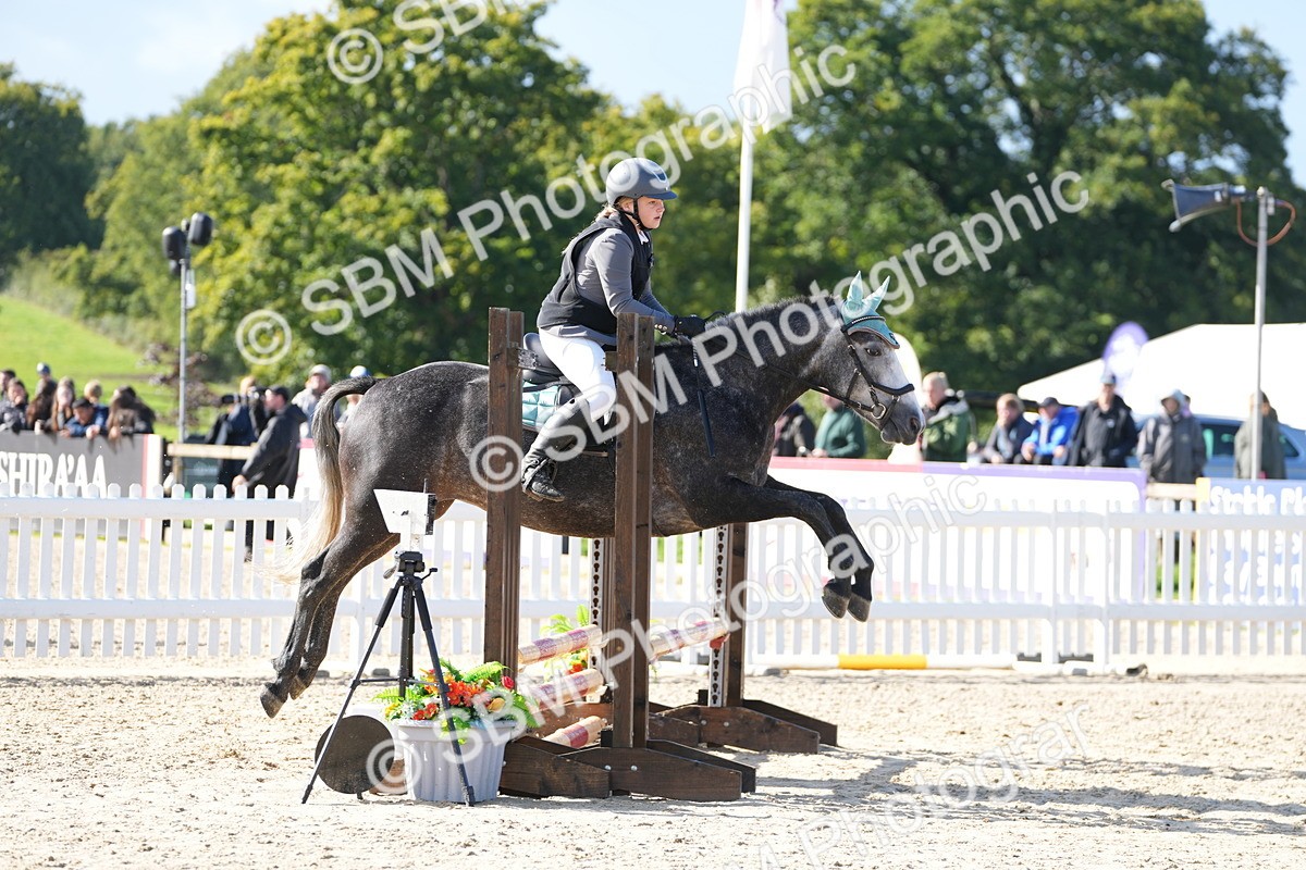 SBM_38165 - J6 - Junior Pony 55cm Championship