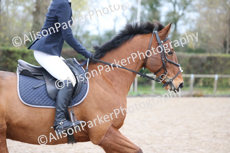 20251116-0279 - Class 2 - 70cm