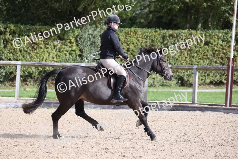 20251005-0399 - Class 3 - 60cm