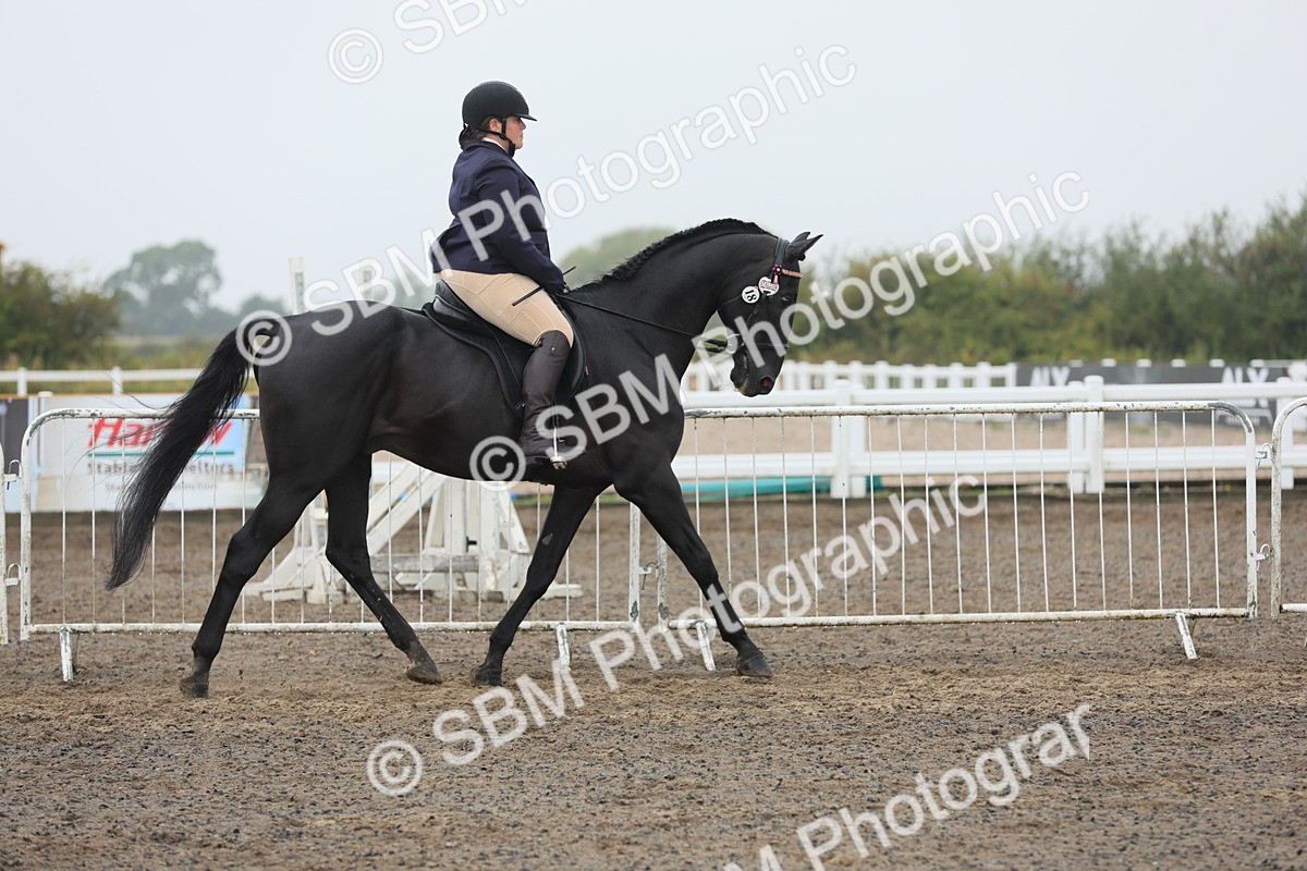 SBM_21234 - Class 805 - Ridden Veteran Horse