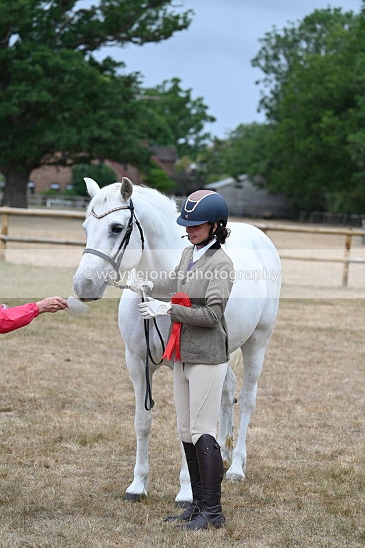 WJ7_9380 - Prettiest Mare Champs