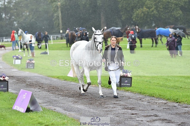 231018-121230-00133 - 063-TOMGAR.GRACE-Annie.Smith-TrotUp