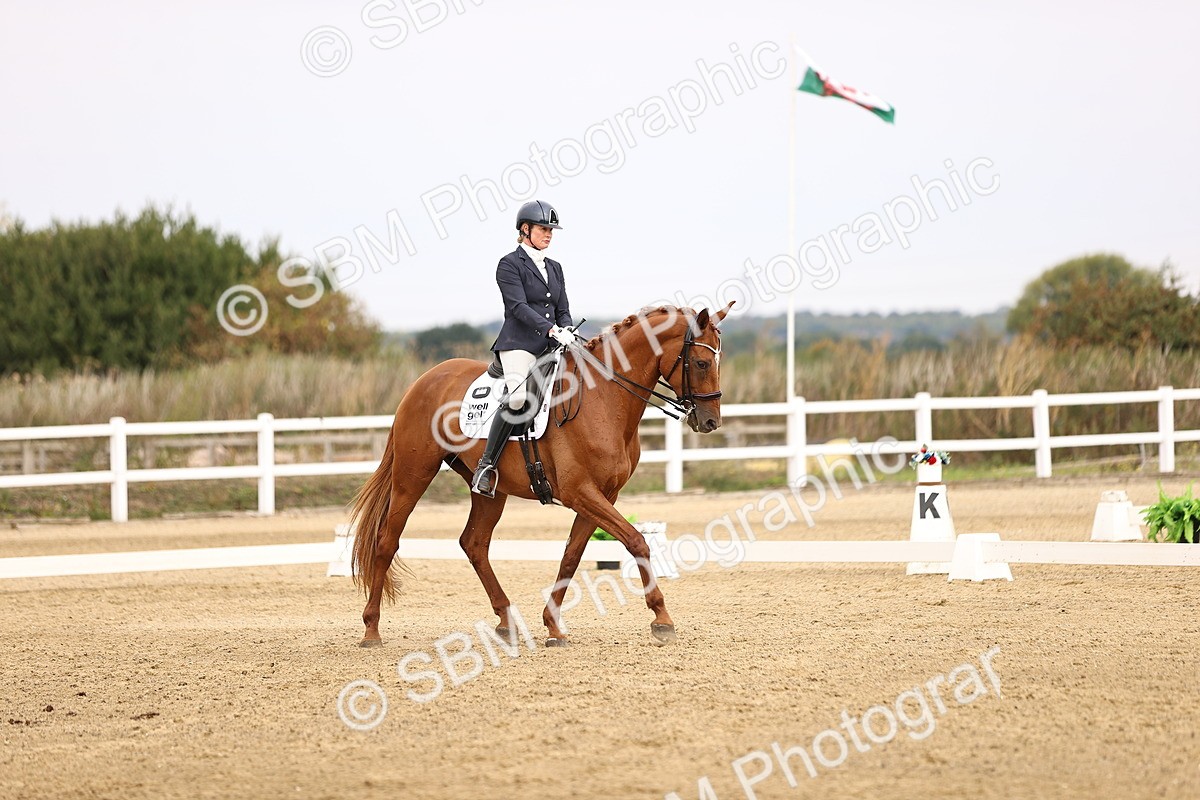 SBM_011646 - Class 1 - Medium 5