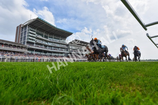 170524-Race 1-Betty Clover-6045 - Race 1 2.15pm Clipper EBF Marygate Fillies' Stakes