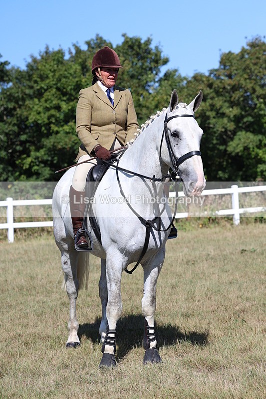 3E7A5884 - Class 5: Working Hunter 90cm