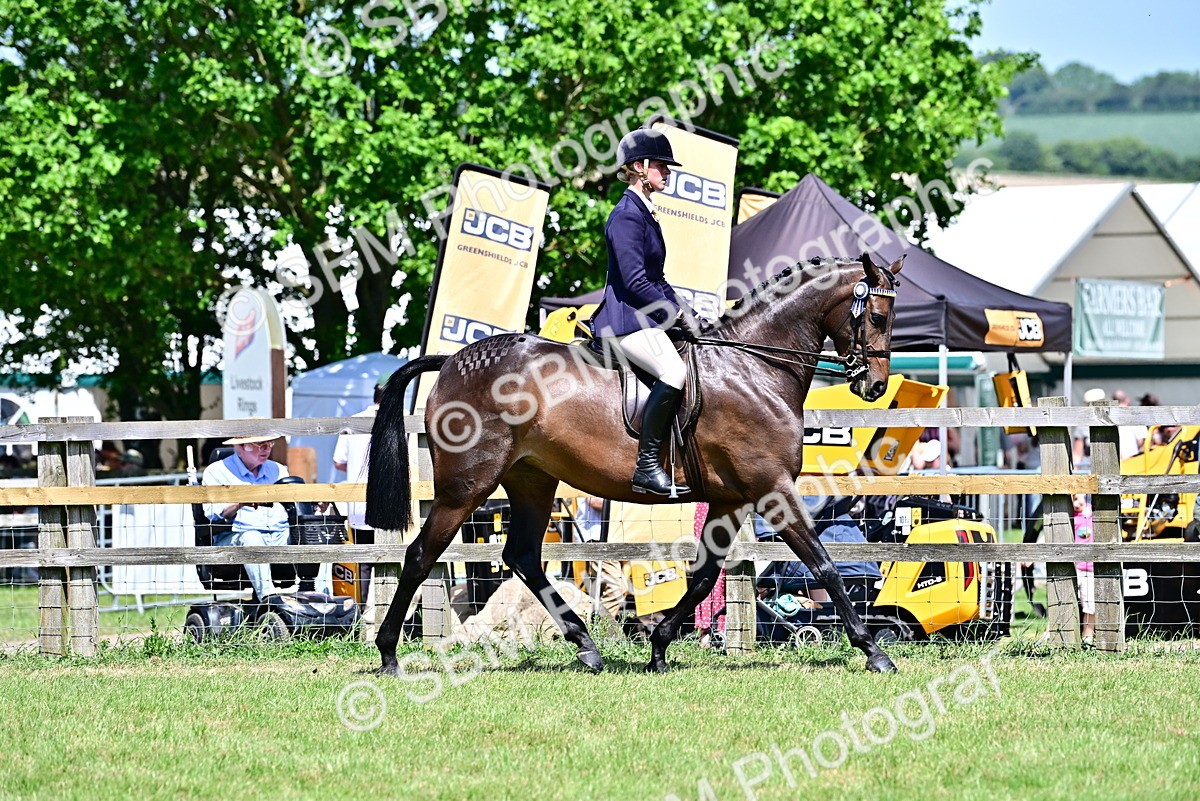 SBM_17503 - Class 95-97 - BSPS LHS Performance Ponies