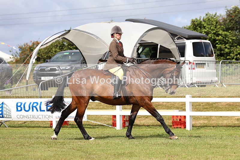 3E7A9306 - Class 4: Rising Star M/H Hunter