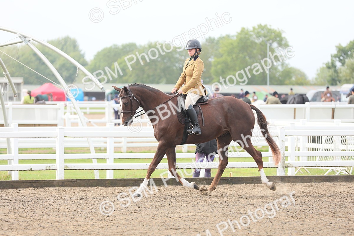 SBM_21339 - Class 805 - Ridden Veteran Horse