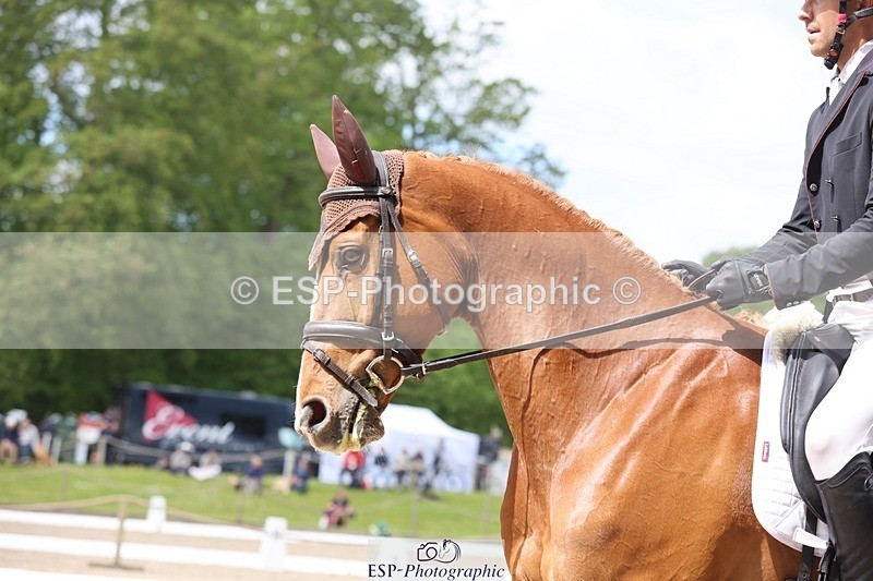 240523-120744-03716 - 223-MORNINGSTAR_VAN_ALTRIDO-Max_Warburton