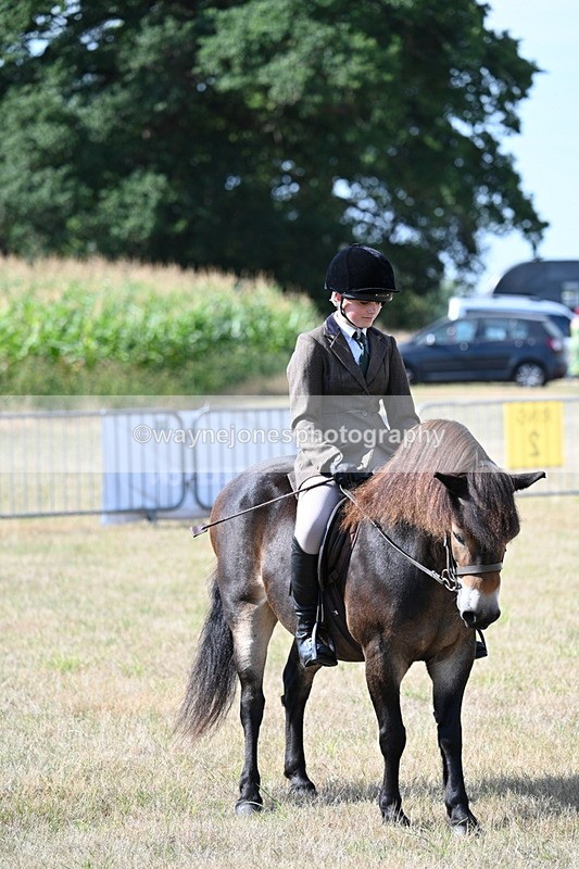 WJ7_2759 - Class 8 Ridden Tack & Turnout