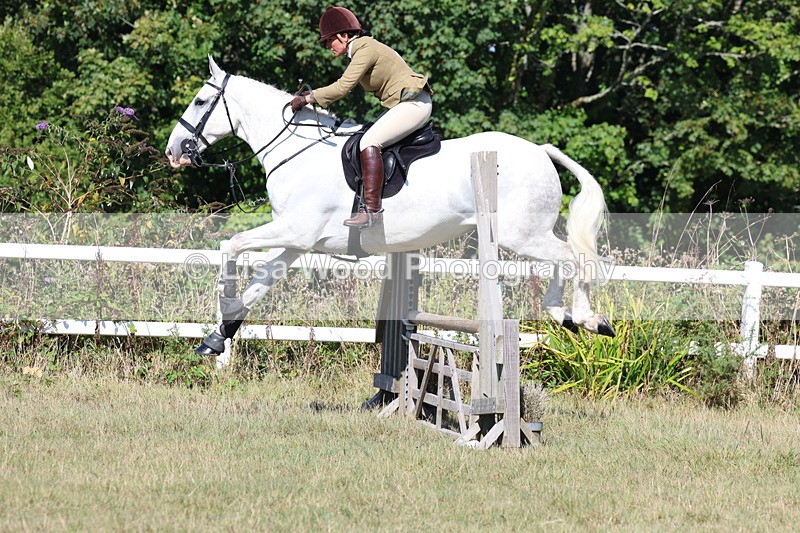 3E7A5856 - Class 5: Working Hunter 90cm