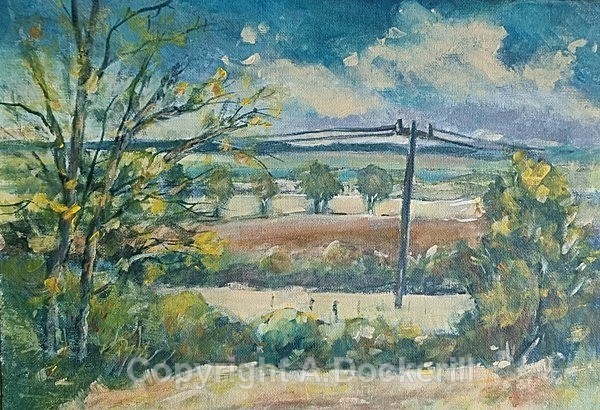 Haddenham Aldreth Rd - Acrylic Paintings
