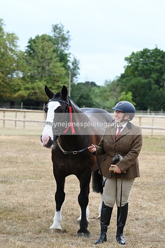 WJ7_0224 - Gelding Champs