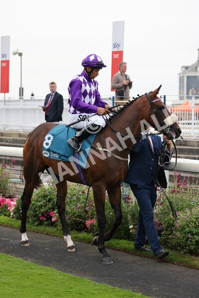 yr22072022r4-10 - Race 4 6.50pm The IRE Incentive It Pays To Buy Irish EBF Restricted Novice Stakes