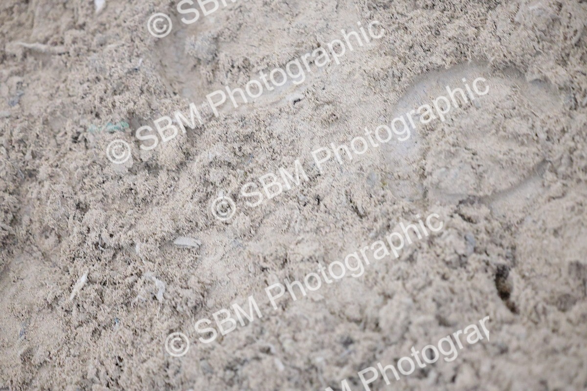 SBM_004225 - Class 11.- National 1.30-1.40m Open