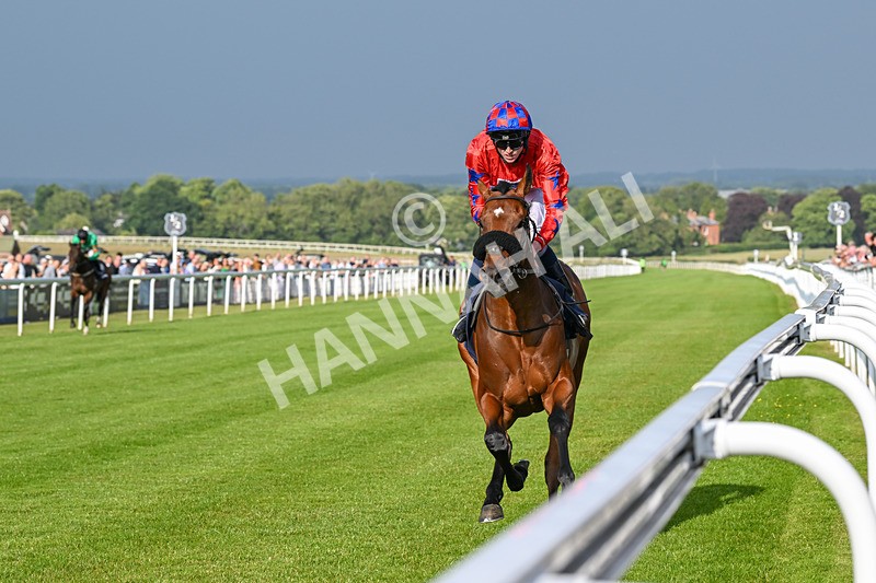 170625-Race 1-Command The Stars-5608 - Race 1