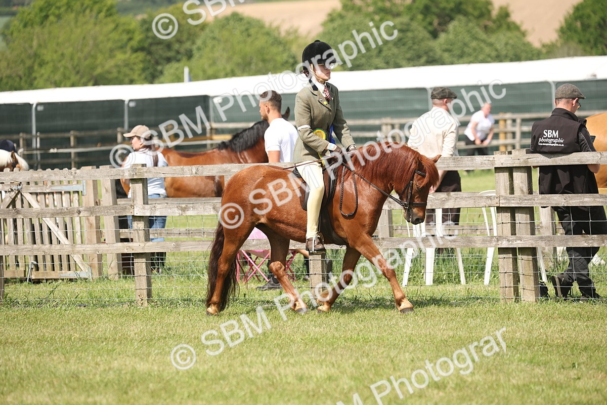 SBM_07671 - Class 26-30 - Mountain and Moorland Ridden