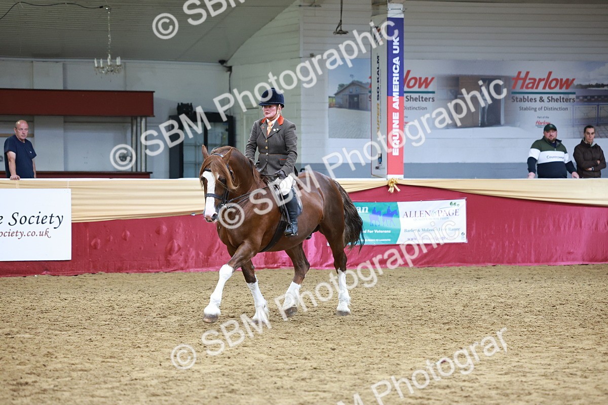 SBM_18824 - Class 952 - M&M Ridden Supreme Final