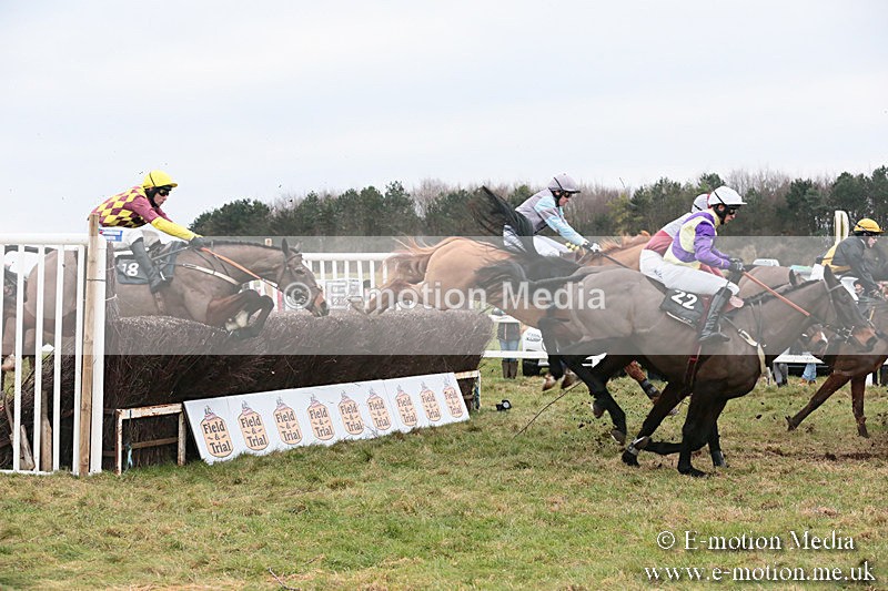 PtP 060119 469 - Larkhill Racing Club - Point-to-Point- 06/01/2019