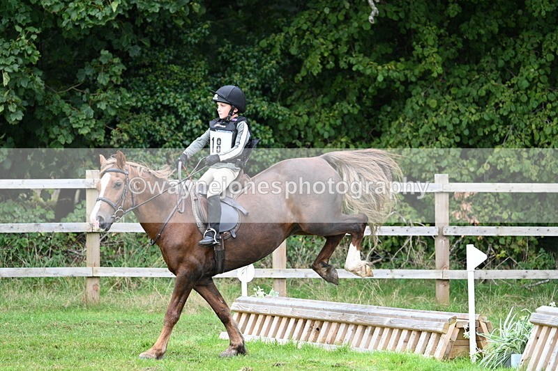 WJ7_7475 - 40cm Time 10:27 to 10:47