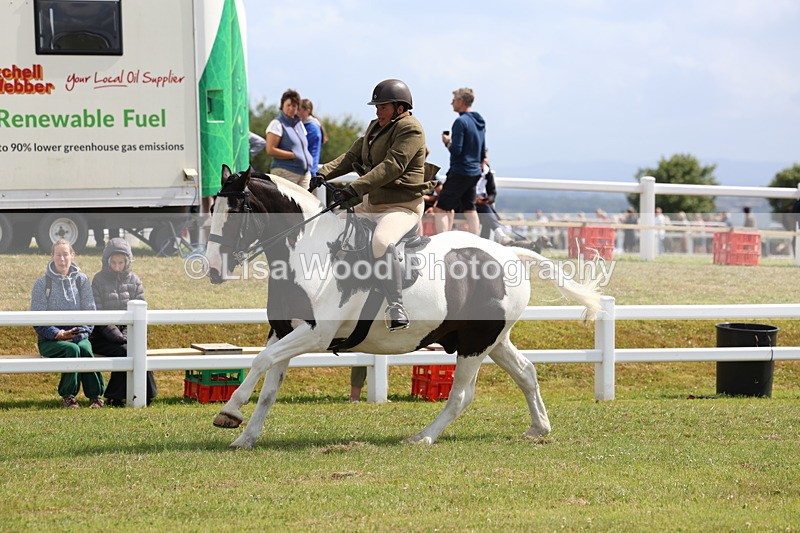 3E7A9782 - Class 5: Rising Star Lightweight/Heavyweight Cobs