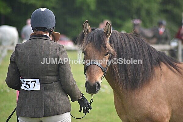 DSC_8253 - Rings 1 & 2