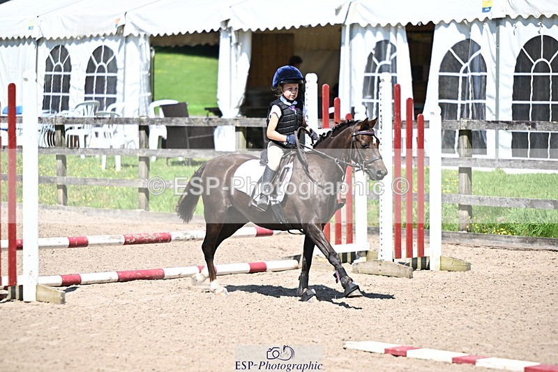 240729B-115908-02578 - Showjumping Competition