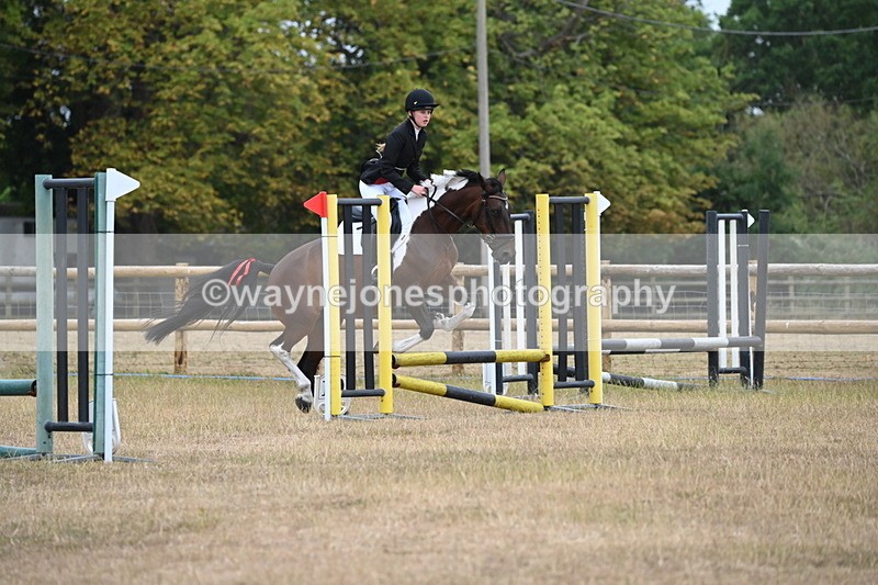 WJ6_0050 - Class 13 Novice Jumping 60cm