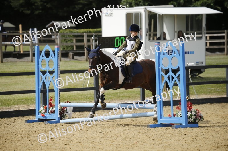 20250622-3780 - 50cm