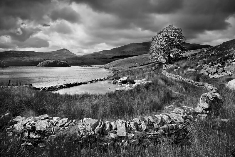 Llyn Dywarchen Snowdonia Wales - Monochrome