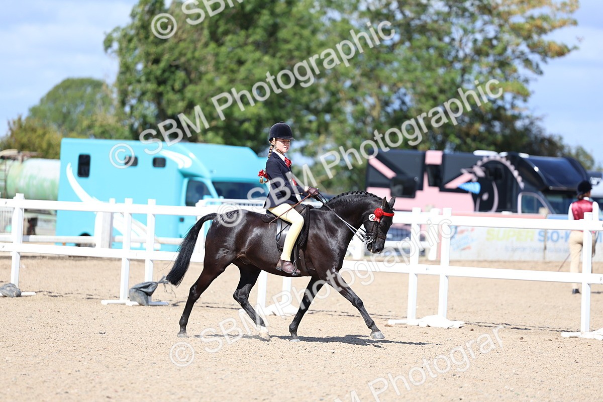 SBM_13354 - Class 311 - Ridden Show Pony Show Hunter Pony