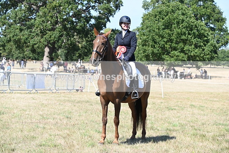 WJ6_9062 - Class 38 Ridden Riding Horse/Pony