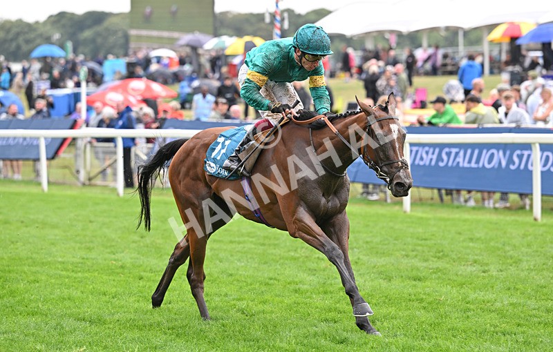 200826-134 Prizeland - Race 5 16.10pm British EBF & Sir Henry Cecil Galtres Stakes