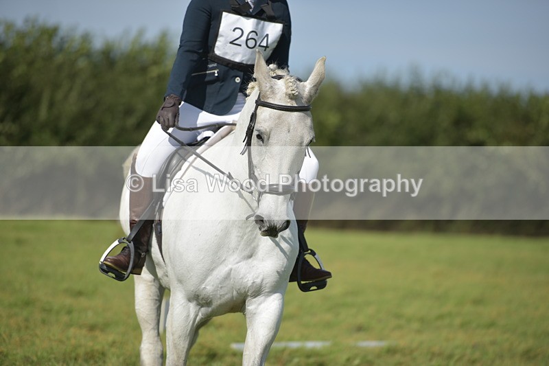 RAY_8099 - Class 2B: Trekenning Open: Dressage