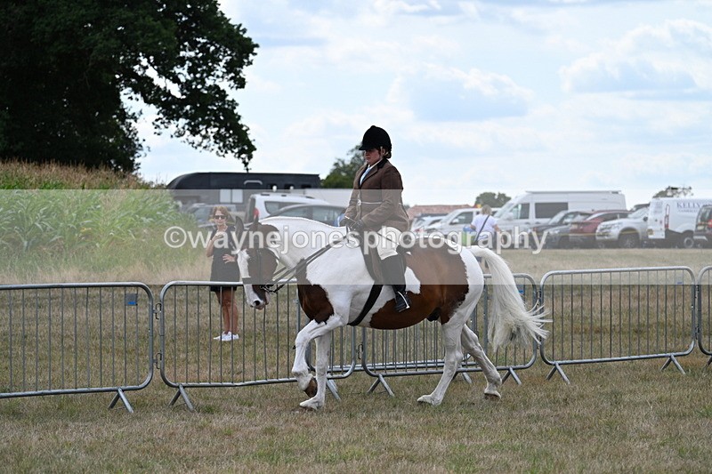 WJ7_5051 - Class 12 Ridden Cob