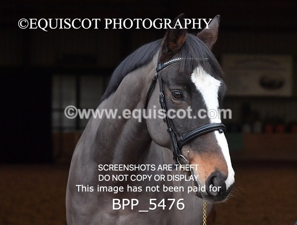 BPP_5476 - Morag Johnston