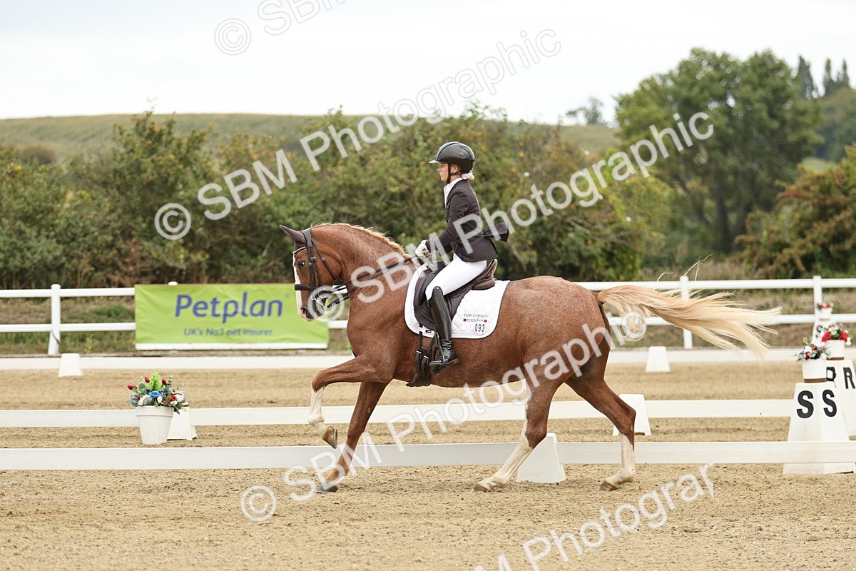 SBM_006549 - Class 21 - Medium 5 Bronze - 9.08-9.48