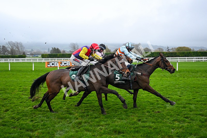 151125-Race 6-Jurancon-4172 - Race 6