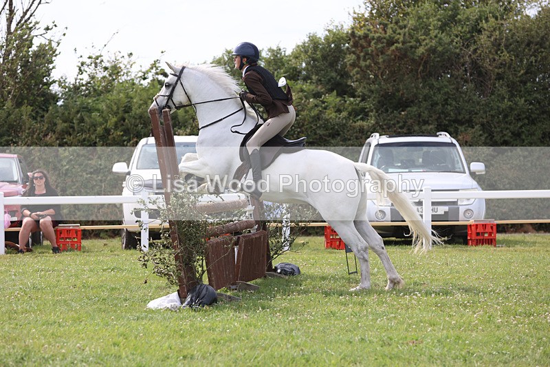 JPP_4016 - Class 24: Working Hunter 90cm
