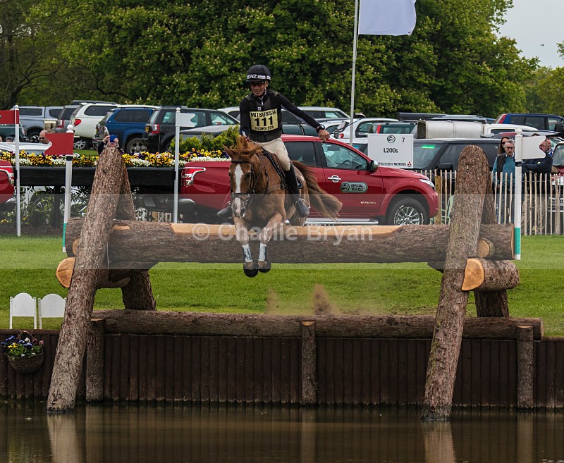 Andrew Nicholson - Mitsubishi Motors Badminton Horse Trials.