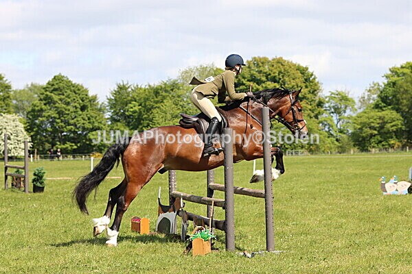 IMG_4214 - Working Hunter