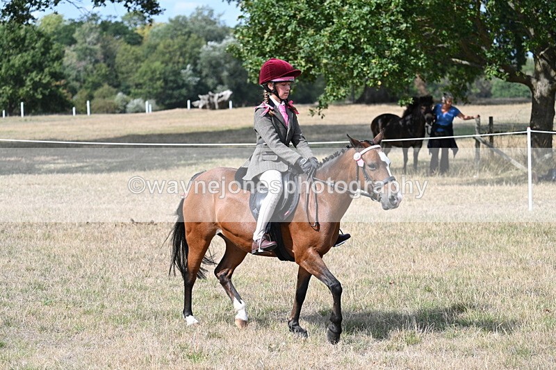 WJ7_6196 - Class 13 Ridden Veterans