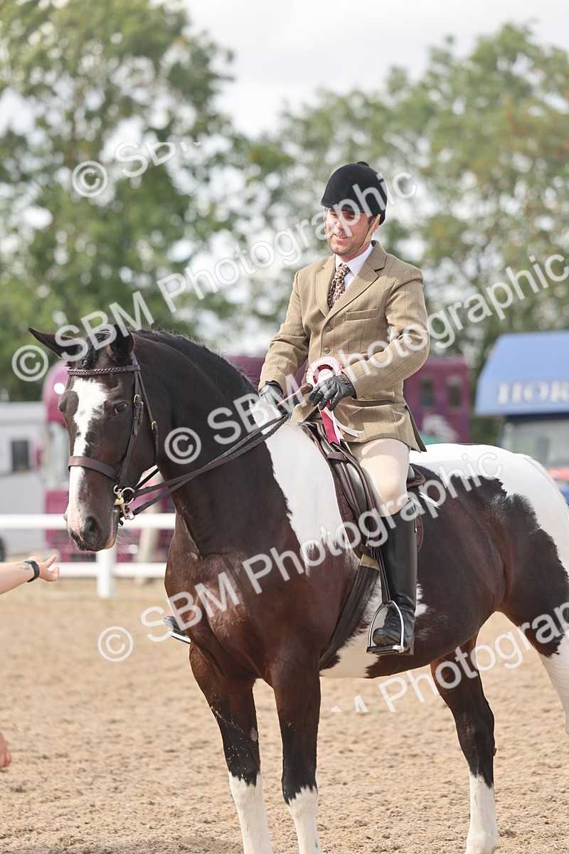 SBM_14859 - Class 308 - Ridden Coloured Horse