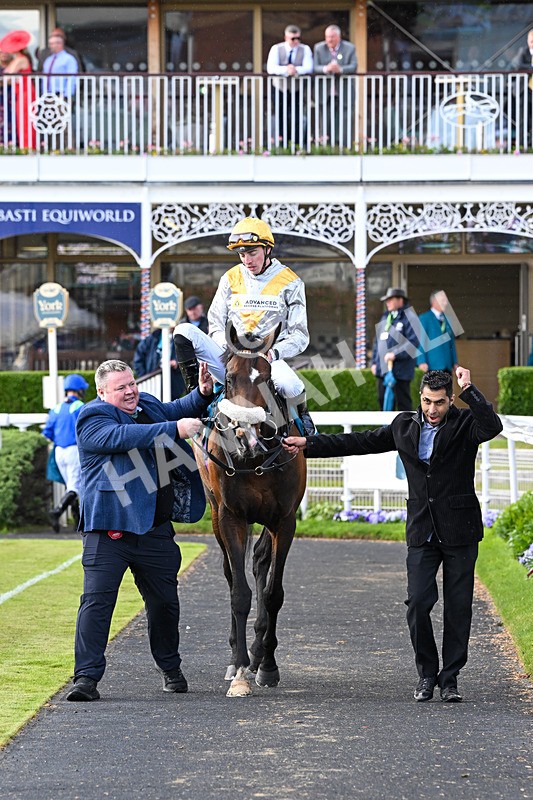 140526-Race 7-Arc Ole Ole-6063 - Race 7 5.15pm Frank Whittle Partnership Handicap