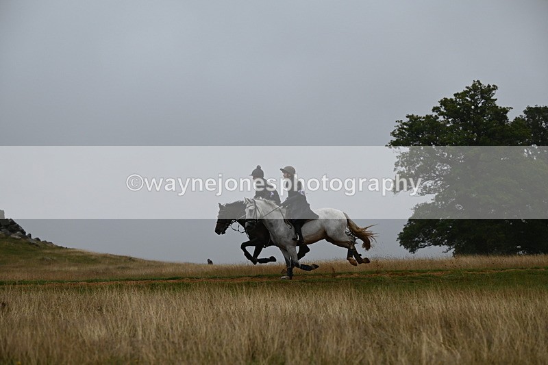 DSC_1334 - Time at Statue 11:54 to 12:12