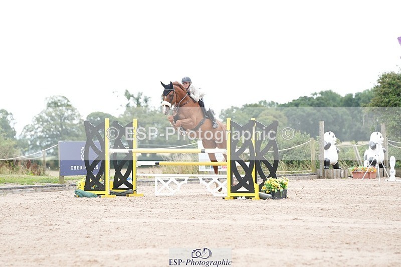 250803-125337-13189 - Cls 27 Chard Equestrian 5 Year Old Championship