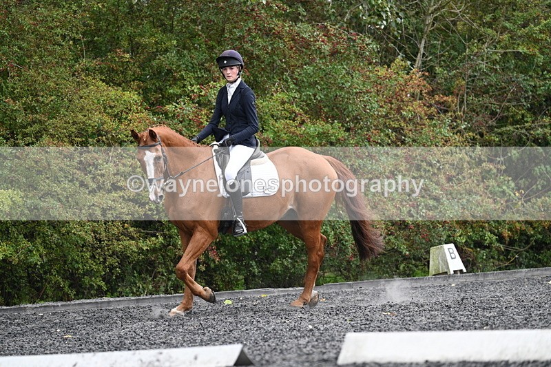 WJ7_6656 - Time 14:49 to 15:14