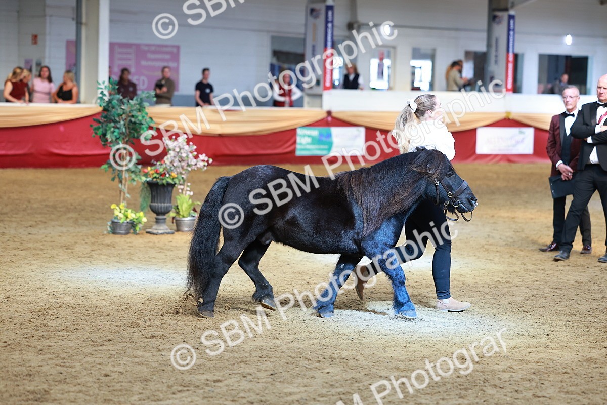 SBM_18495 - Class 903 - Sup Final - IH Pre Vet